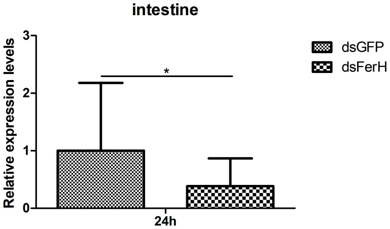 Figure 6