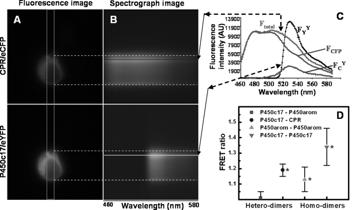 FIGURE 1.