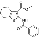 graphic file with name pnas.0909310107fx14.jpg