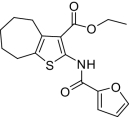 graphic file with name pnas.0909310107fx2.jpg