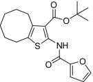 graphic file with name pnas.0909310107fx10.jpg