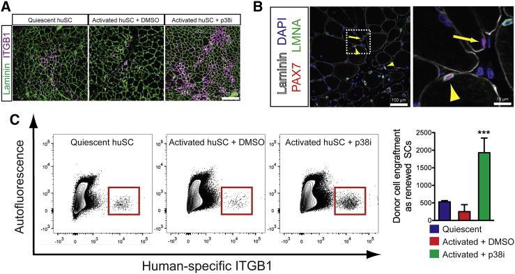 Figure 4