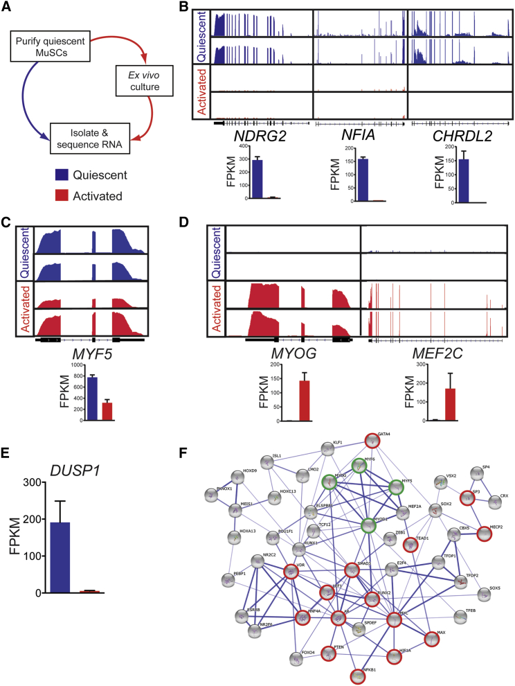 Figure 2