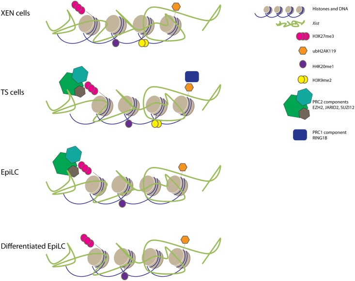 Fig 12