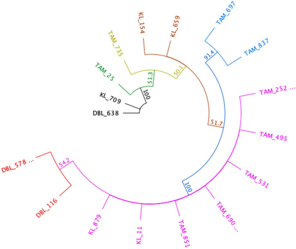 Fig. 7