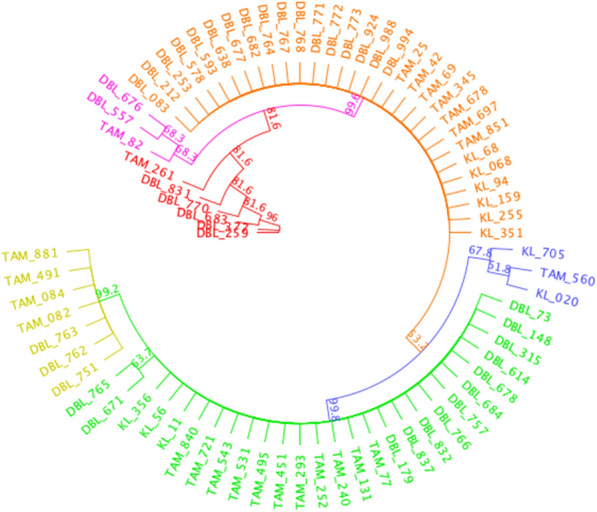 Fig. 6