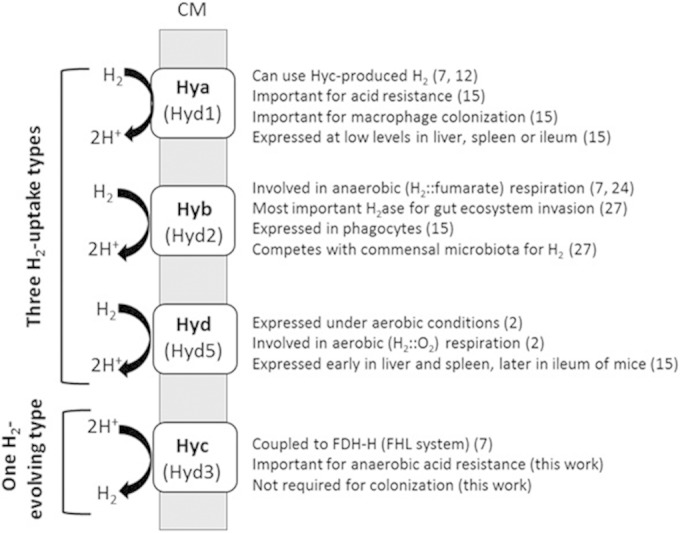 FIG 4