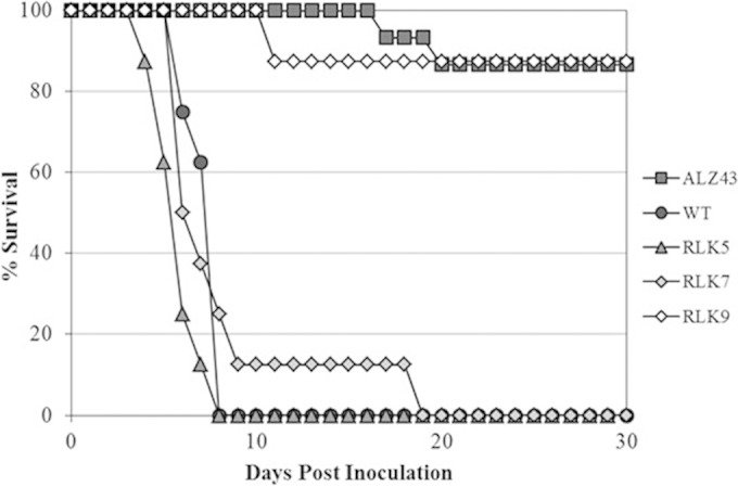 FIG 2