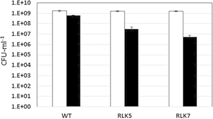 FIG 1