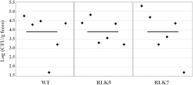 FIG 3