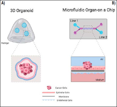 Figure 13.1.