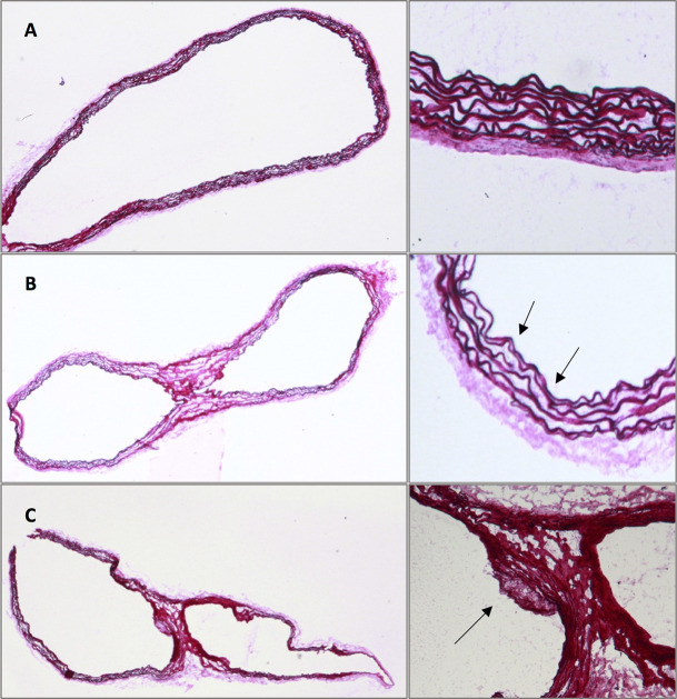 Fig 5