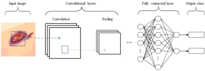 Figure 2