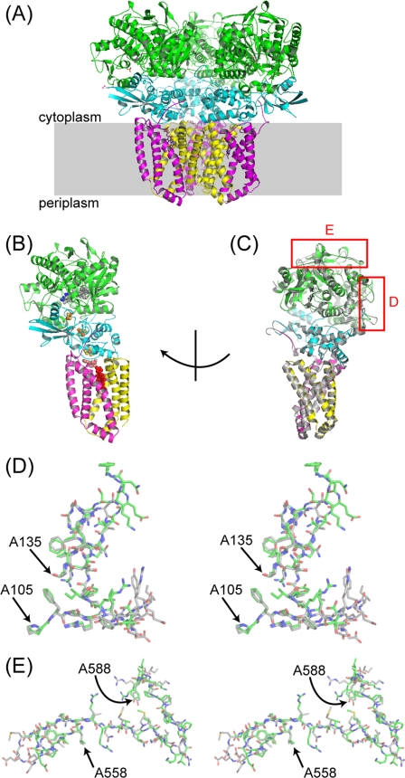 FIGURE 1.