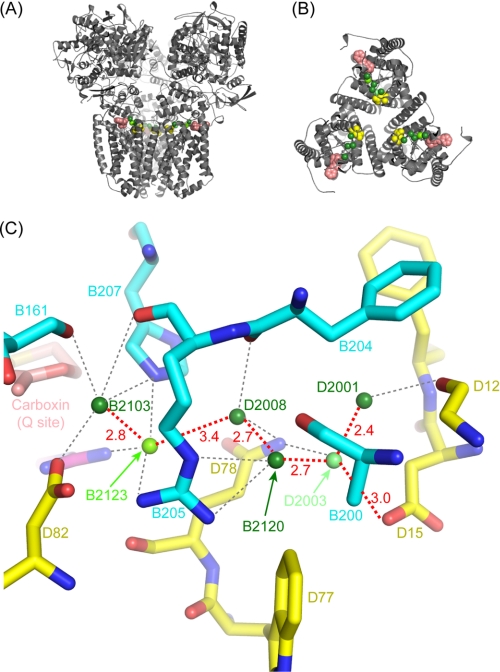 FIGURE 5.