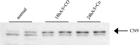 Fig. 5.