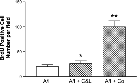 Fig. 11.