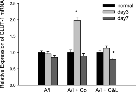 Fig. 10.