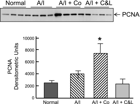 Fig. 12.