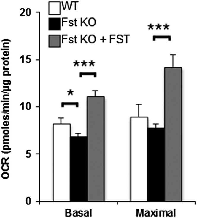 Fig. 5.