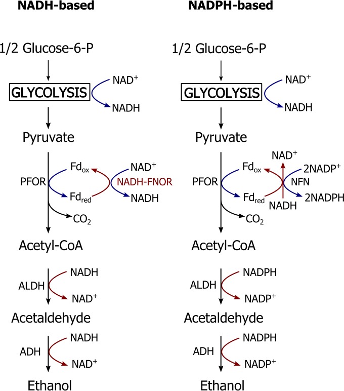 FIG 4