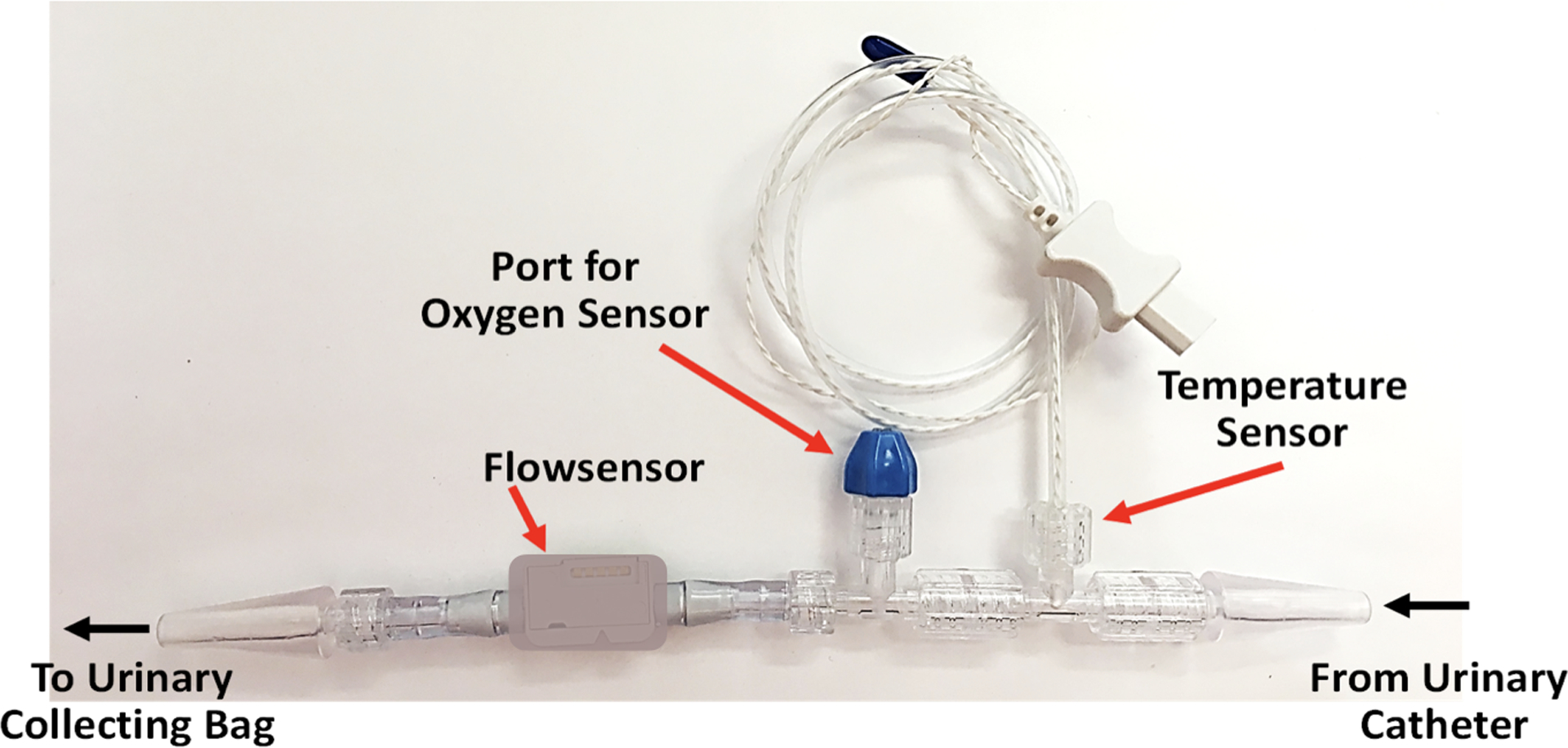 Figure 1: