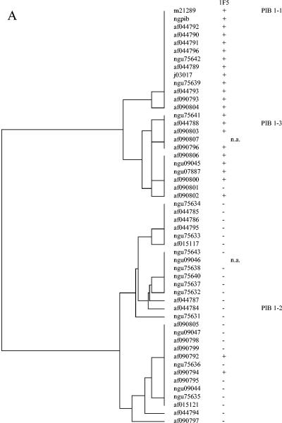 FIG. 1.