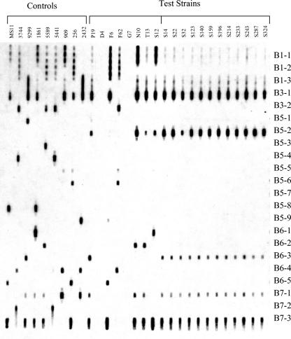 FIG. 2.