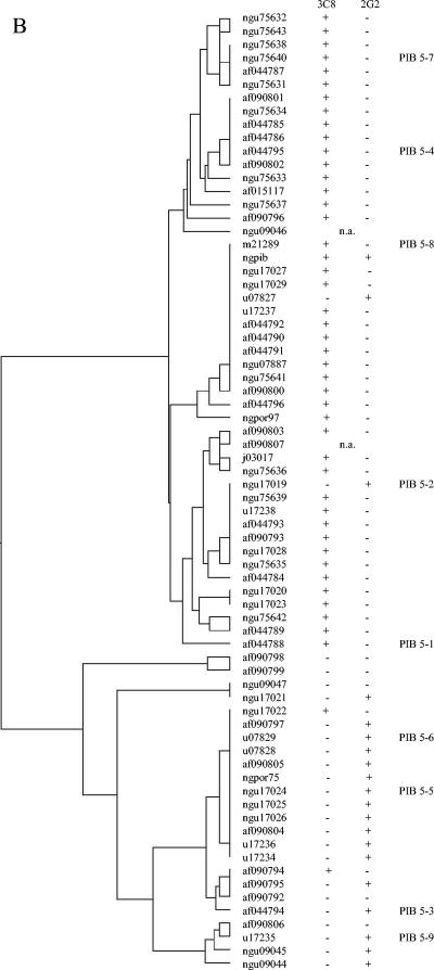 FIG. 1.