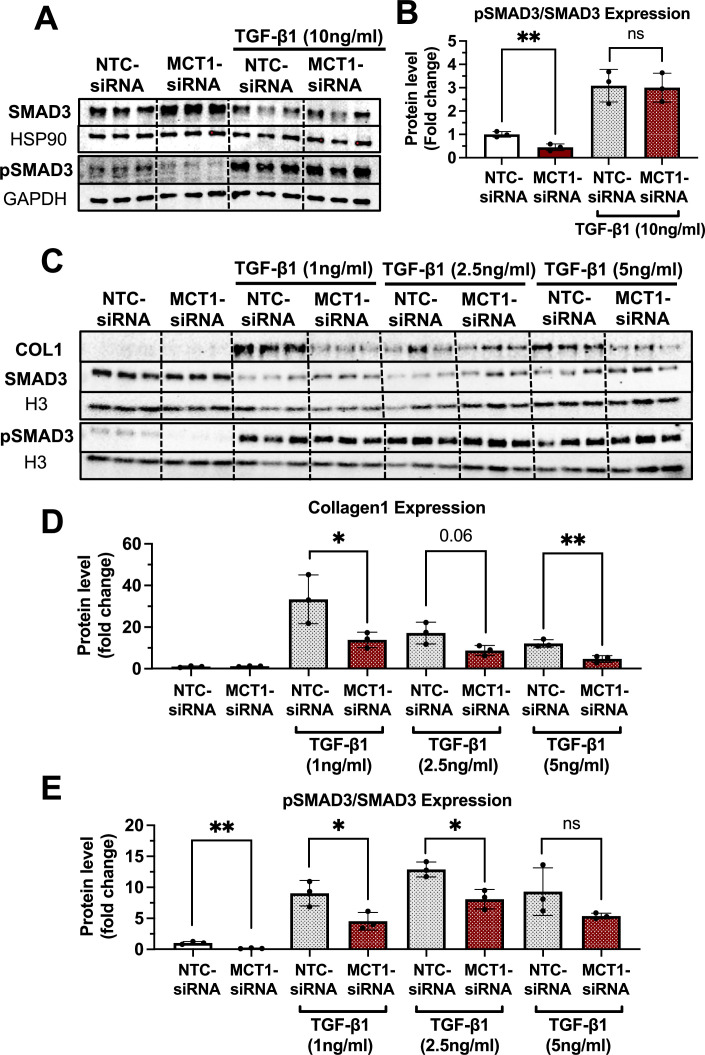 Figure 8—figure supplement 1.