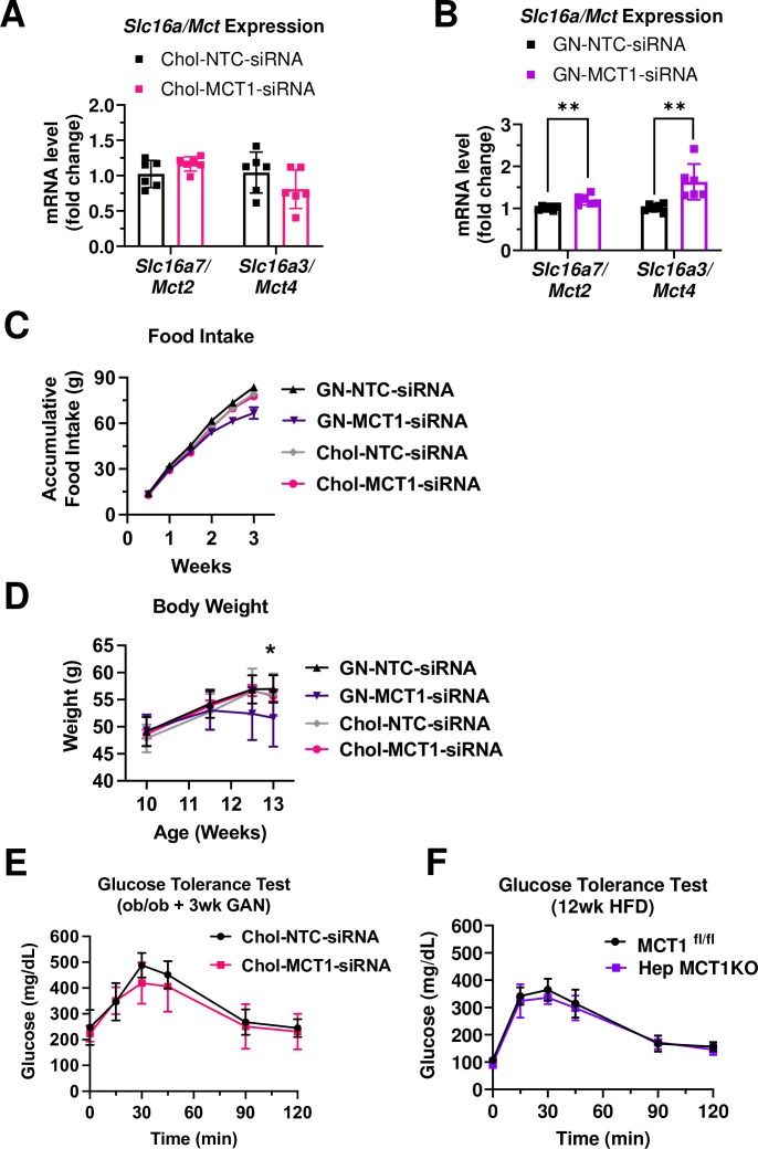 Figure 4—figure supplement 1.