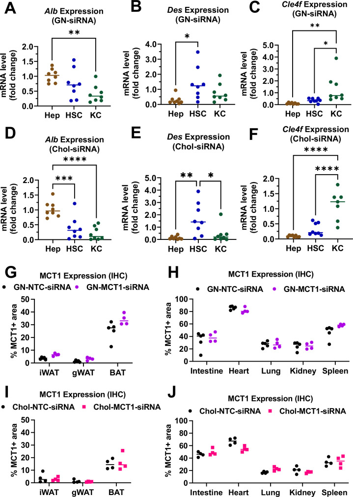 Figure 3—figure supplement 1.