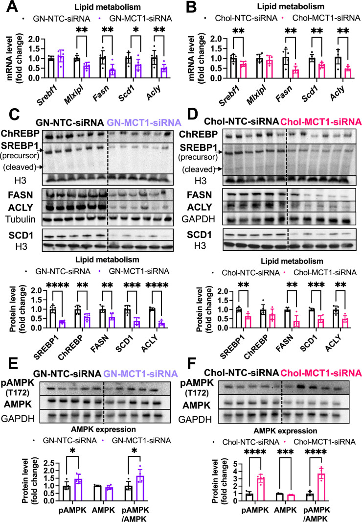 Figure 4—figure supplement 2.