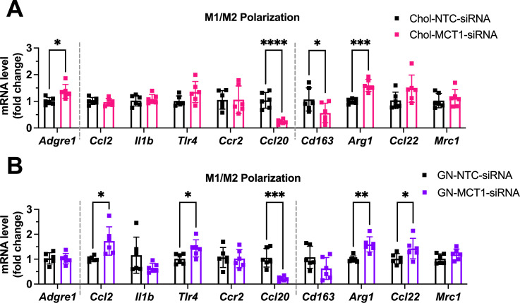 Figure 5—figure supplement 1.