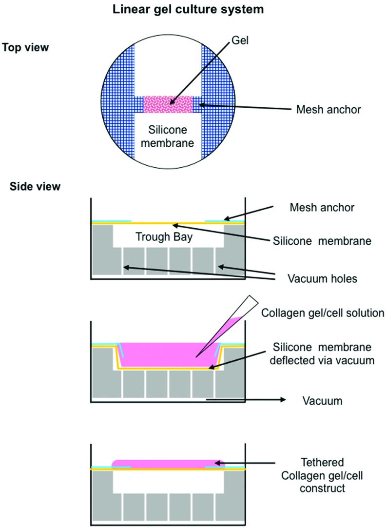 FIG. 1.