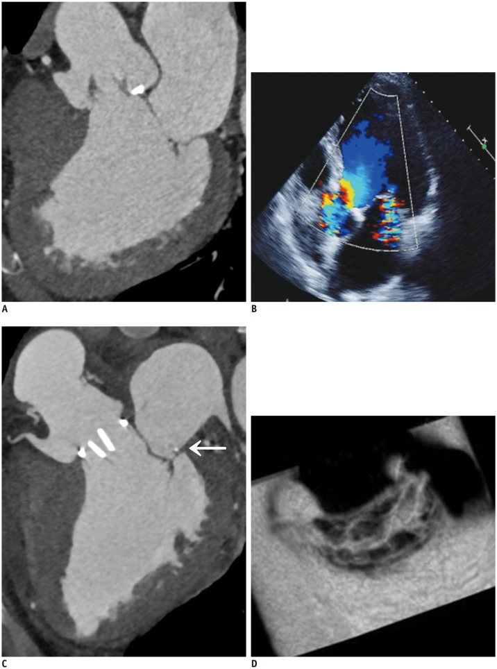 Fig. 10