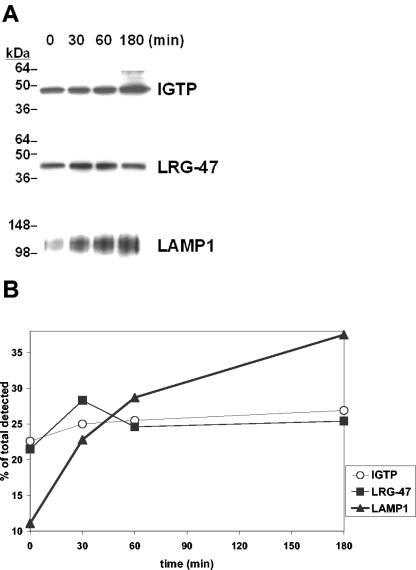 FIG. 6.