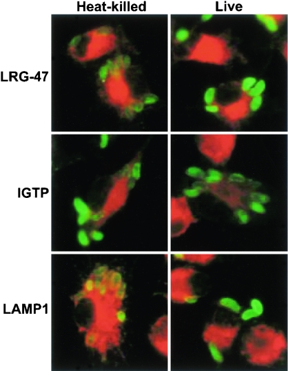 FIG. 8.