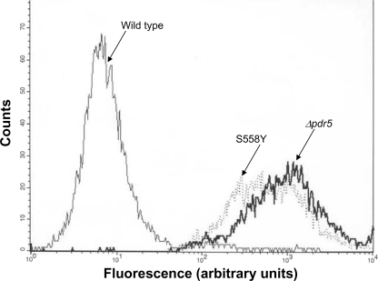 FIGURE 2.