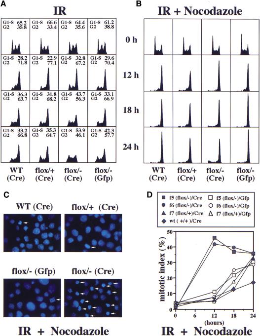 Figure 4