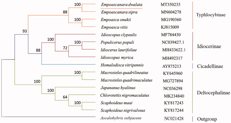 Figure 1.