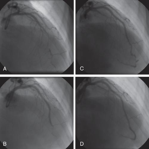 Figure 1)