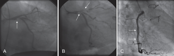 Figure 3)