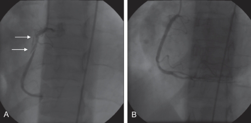 Figure 2)