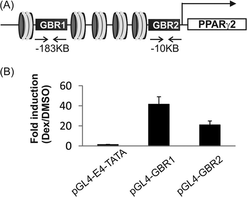 FIGURE 4.