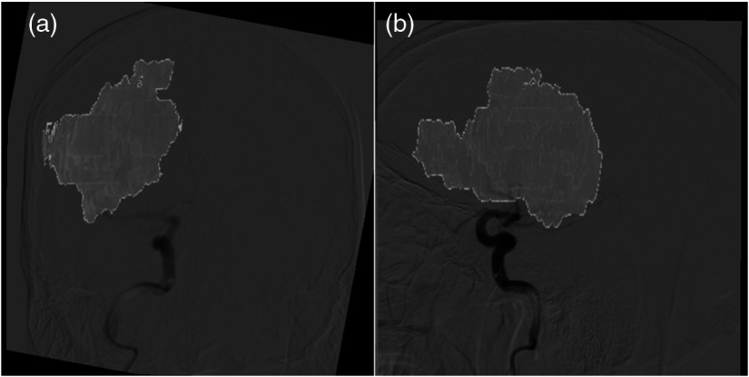 Fig. 6