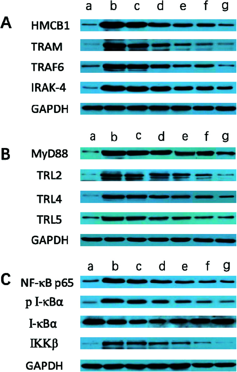 Fig. 10