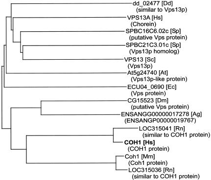 Figure  4