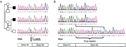 Figure  3