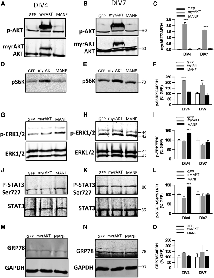 Figure 6